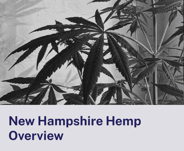 New Hampshire Hemp Overview.png