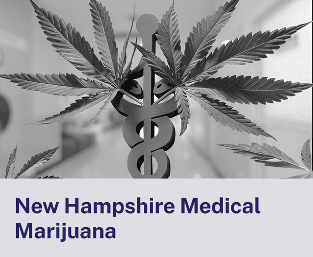 New Hampshire Medical.png